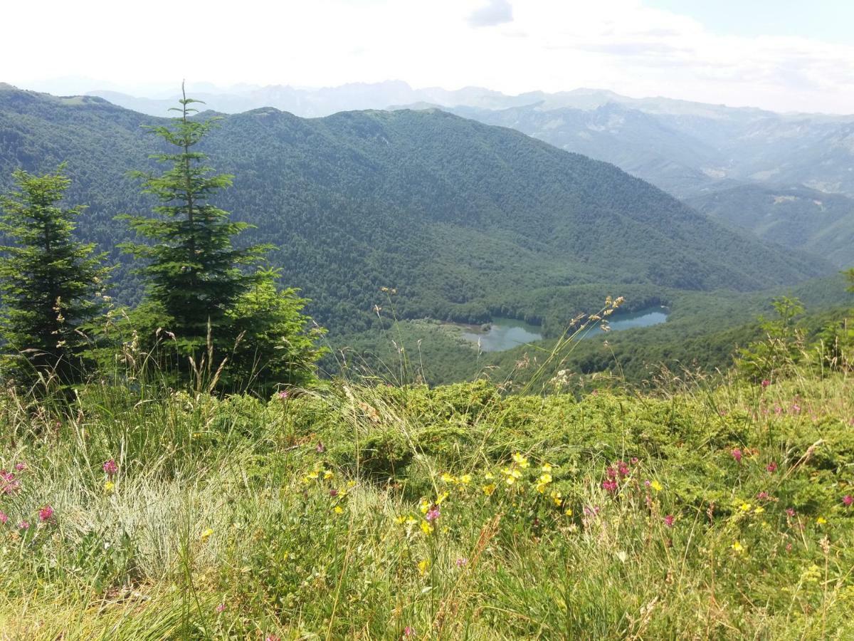 Eko Katun Damjanovic - Bjelasica Mojkovac Esterno foto