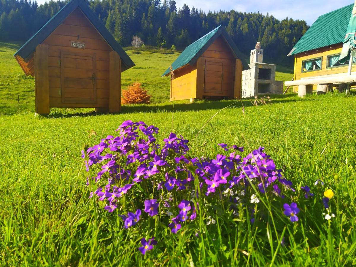 Eko Katun Damjanovic - Bjelasica Mojkovac Esterno foto